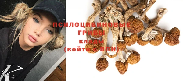 спайс Алексеевка