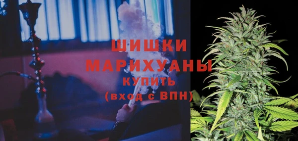 гашик Алзамай