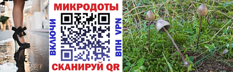Псилоцибиновые грибы Cubensis  где можно купить   Миллерово 